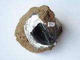 Kertschenite crystals inside a petrified Ostrea shell